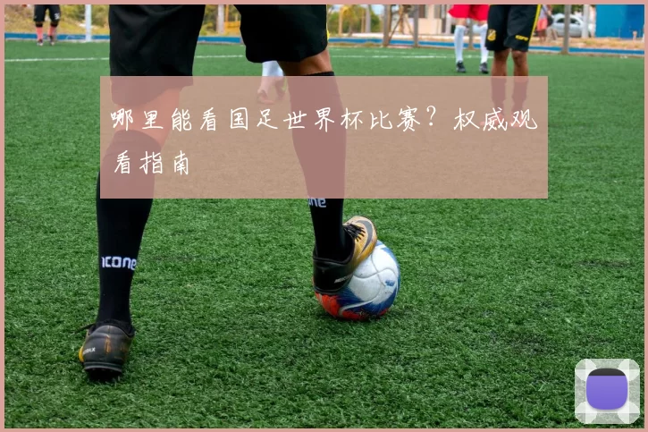 哪里能看国足世界杯比赛?权威观看指南