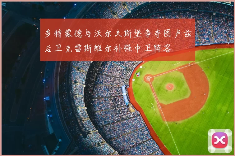 多特蒙德与沃尔夫斯堡争夺图卢兹后卫克雷斯维尔补强中卫阵容