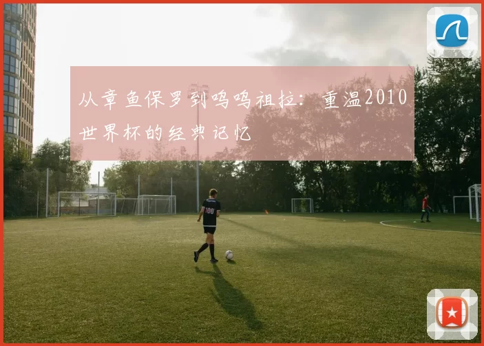 从章鱼保罗到呜呜祖拉:重温2010世界杯的经典记忆