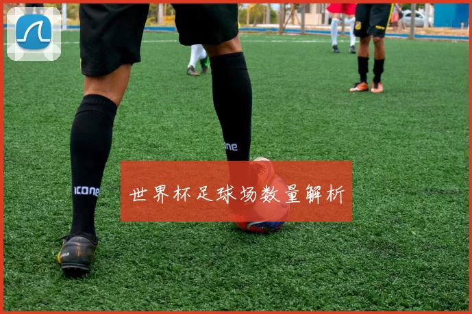 世界杯足球场数量解析