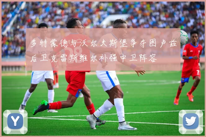 多特蒙德与沃尔夫斯堡争夺图卢兹后卫克雷斯维尔补强中卫阵容