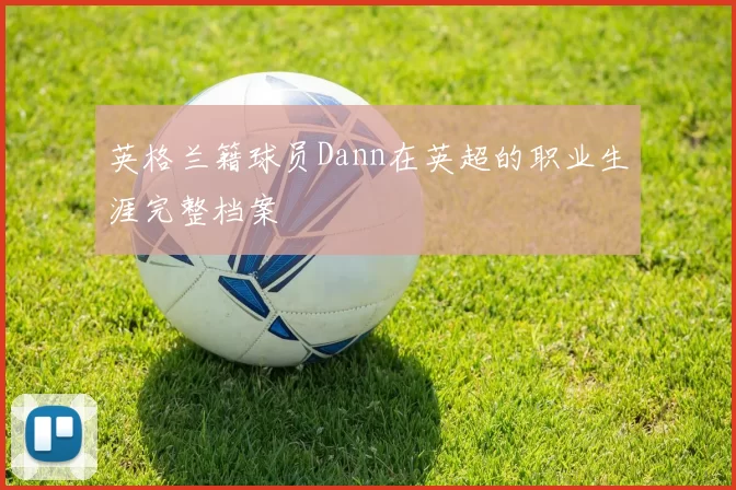 英格兰籍球员Dann在英超的职业生涯完整档案