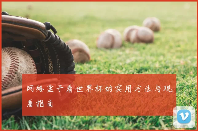网络盒子看世界杯的实用方法与观看指南