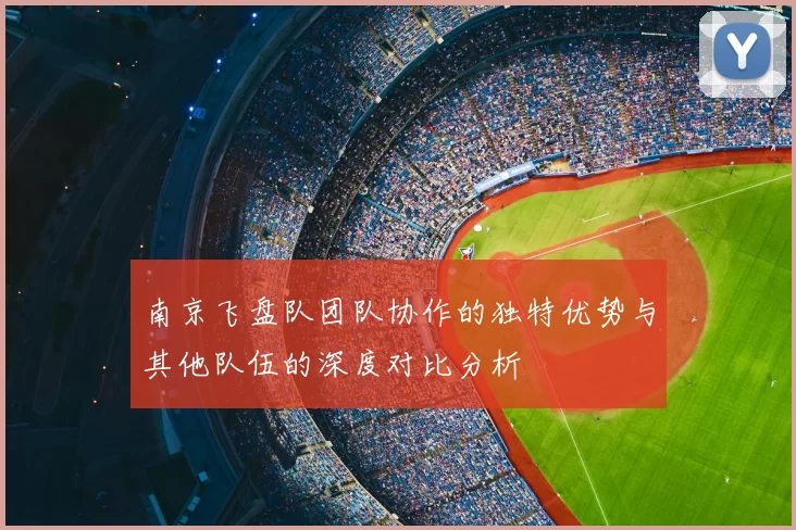 南京飞盘队团队协作的独特优势与其他队伍的深度对比分析
