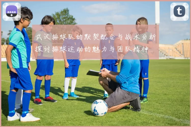 武汉排球队的默契配合与战术分析探讨排球运动的魅力与团队精神