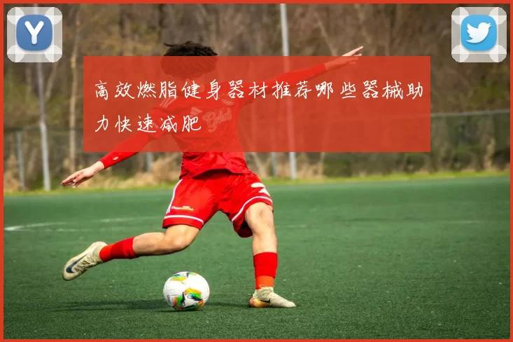 高效燃脂健身器材推荐哪些器械助力快速减肥