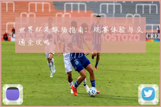 世界杯足球场指南:观赛体验与交通全攻略