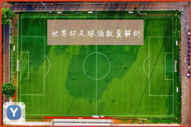 世界杯足球场数量解析