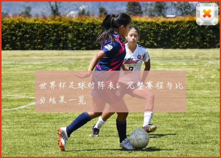 世界杯足球对阵表:完整赛程与比分结果一览