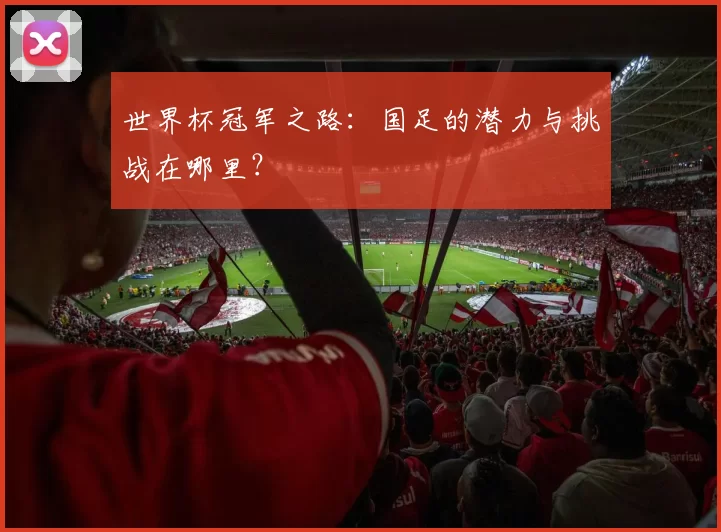 世界杯冠军之路:国足的潜力与挑战在哪里?