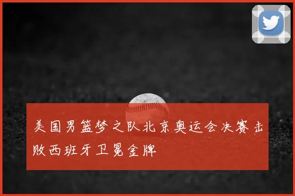 美国男篮梦之队北京奥运会决赛击败西班牙卫冕金牌