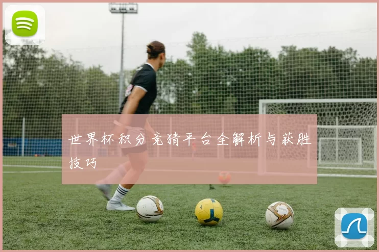 世界杯积分竞猜平台全解析与获胜技巧