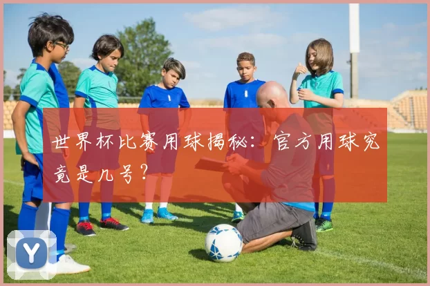 世界杯比赛用球揭秘:官方用球究竟是几号?