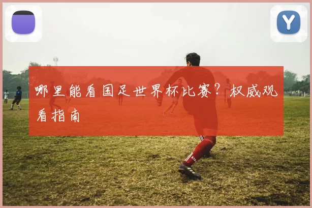哪里能看国足世界杯比赛?权威观看指南
