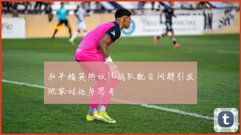 和平精英热议IG战队配合问题引发玩家讨论与思考