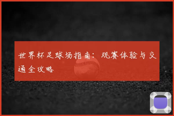世界杯足球场指南:观赛体验与交通全攻略