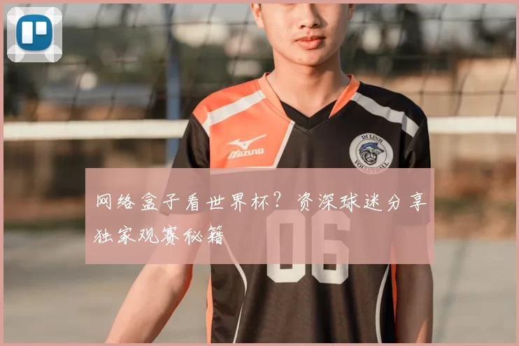 网络盒子看世界杯？资深球迷分享独家观赛秘籍
