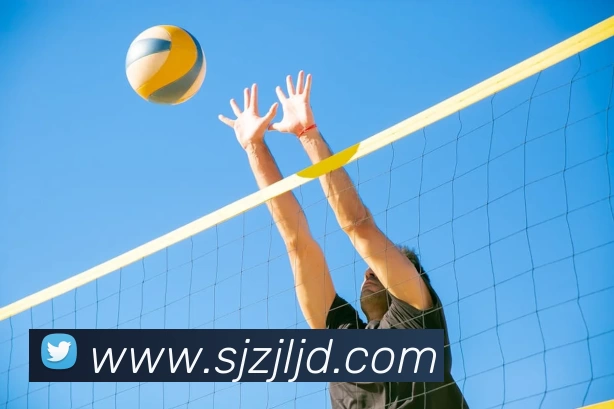 买球官网APP 封面图